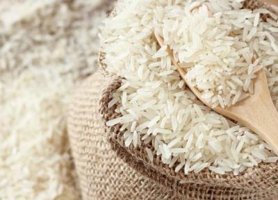 برنامه ریزی برای کاهش مصرف برنج، ماکارونی جایگزین برنج می گردد؟